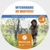 Ks. Zdzisław Struzik, Wychowanie do wartości. Szkoła podstawowa. Poziom 0, CD, Instytut Papieża Jana Pawła II, Warszawa 2020