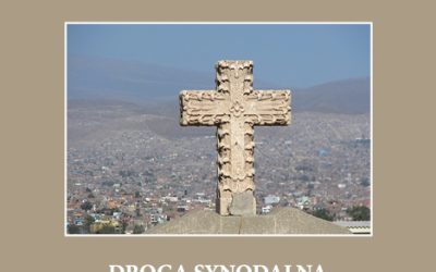 Zapowiedź wydawnicza: “Droga synodalna w Kościołach pozaeuropejskich”