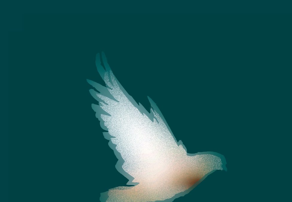 NOWOŚĆ WYDAWNICZA: „WARTOŚĆ POKOJU W&nbsp;NAUCZANIU I&nbsp;PRZESŁANIU ŚW. JANA PAWŁA II&nbsp;I&nbsp;BŁ. KARD. STEFANA WYSZYŃSKIEGO. ZESZYT O&nbsp;OPATRZNOŚCI BOŻEJ NR&nbsp;16”.